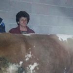Luksemburg: Novembarska akcija – Predata krava porodici Isović