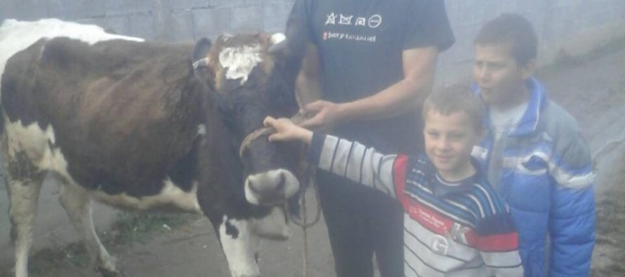 Luksemburg/Makedonija: Okončana decembarska akcija – Predata krava porodici Amidović