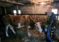 Luksemburg/Bosna: Okončana akcija za februar – Predata krava porodici Ajanović